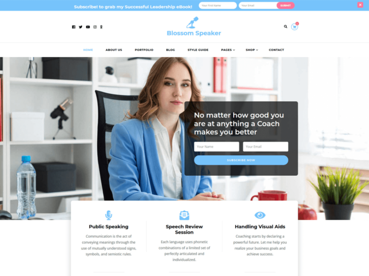 Beispiel WordPress Landing Page